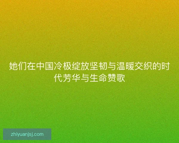 她们在中国冷极绽放坚韧与温暖交织的时代芳华与生命赞歌